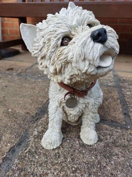 Photo of free Ornamental Westie dog in resin (West Hunsbury NN4) #1