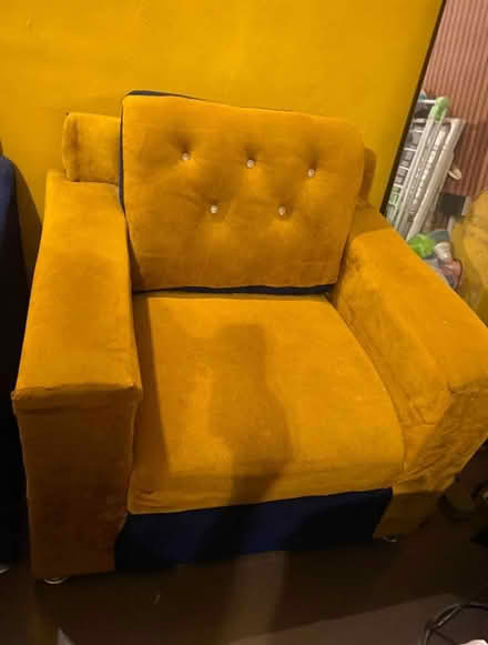 Photo of free Single Old sitter for to giveaway (Lubbock Texas) #1