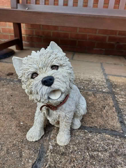 Photo of free Ornamental Westie dog in resin (West Hunsbury NN4) #4
