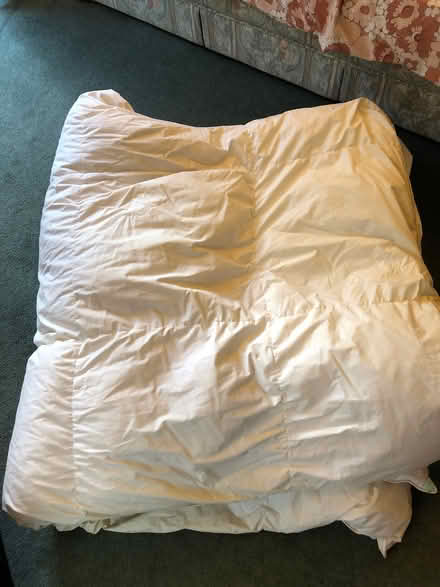Photo of free Old goose feather and down duvet (Hailsham BN27) #1