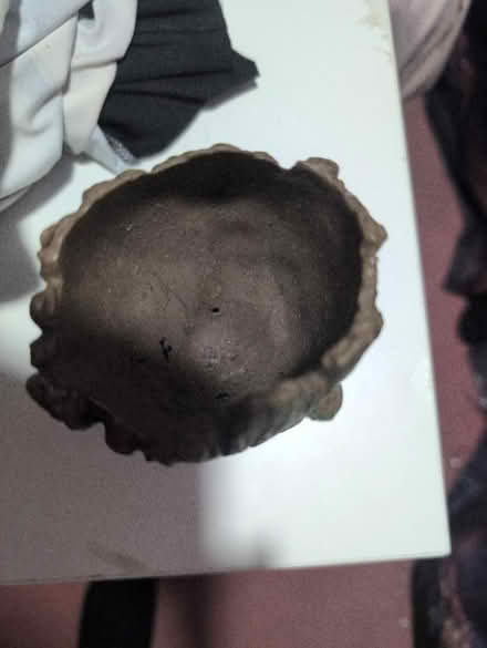 Photo of free Groot pot (Erith DA8) #2