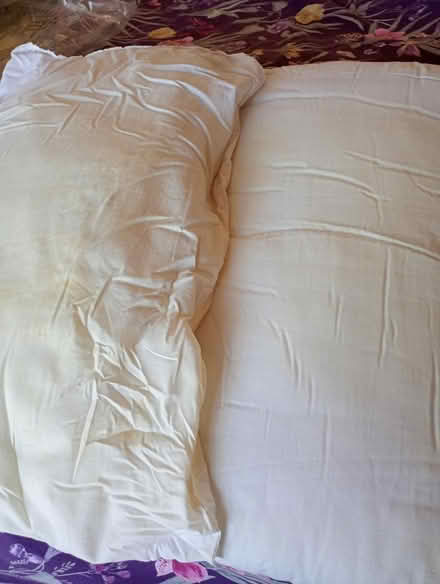 Photo of free Two pillows (Cowley Oxford OX4 2TL) #1