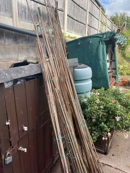 Photo of free Garden canes (Carlton notts) #2