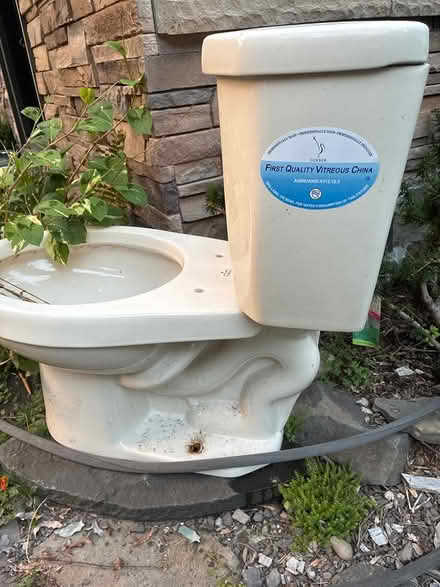 Photo of free beige gerber brand elongated toilet (Kingston NY) #1