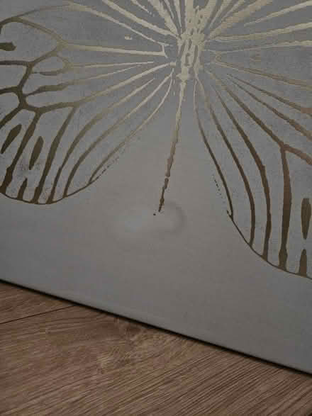 Photo of free Butterfly canvas (Handsworth) #2