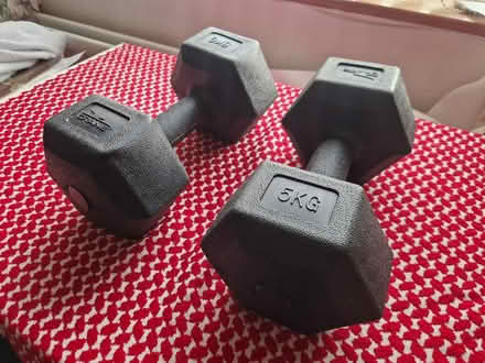 Photo of free 2 x 5kg Weights (Gilesgate DH1) #1