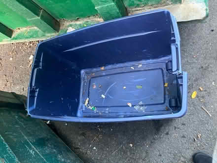 Photo of free All kinds (Fairfax virginia) #2