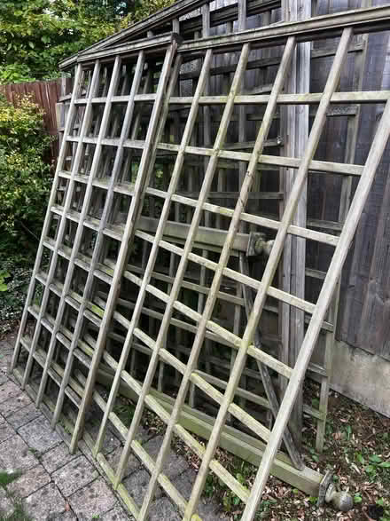 Photo of free garden fencing (Billericay CM12) #1