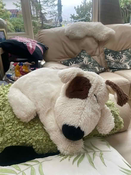Photo of free Hot Water bottle cover (Sandyford) #3