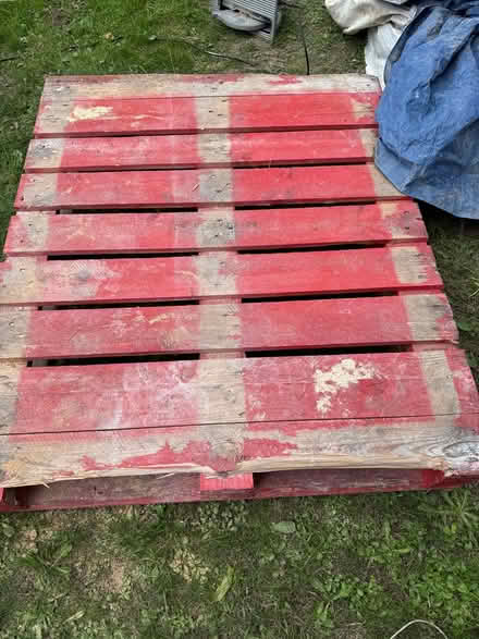Photo of free Pallets (Killiney) #1