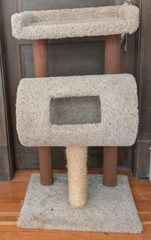 Photo of free Cat tree (Central District) #1