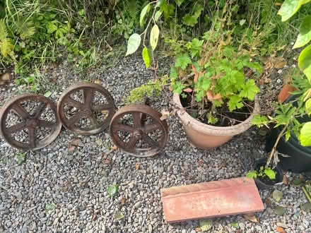 Photo of free Greenhouse and garden bits & bobs (Gladestry HR5) #3
