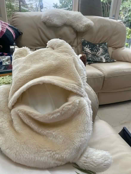 Photo of free Hot Water bottle cover (Sandyford) #2