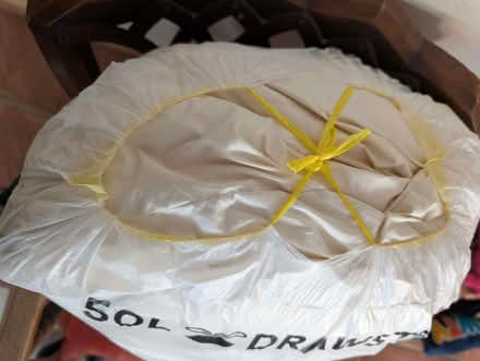 Photo of free Feather cushions (Cooden TN39) #2