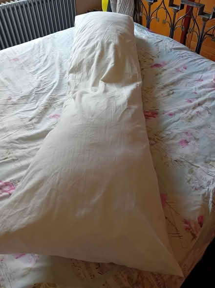 Photo of free Long length Dorma pillow (CW1 Crewe) #1