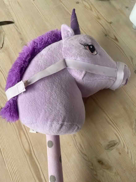 Photo of free Purple hobby horse (Horningsea CB25) #1
