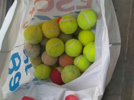 Photo of free Tennis balls (Epsom KT19) #1