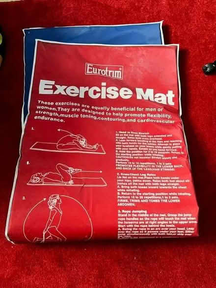 Photo of free 2 large exercise mats (Ballynafoy BT6) #1
