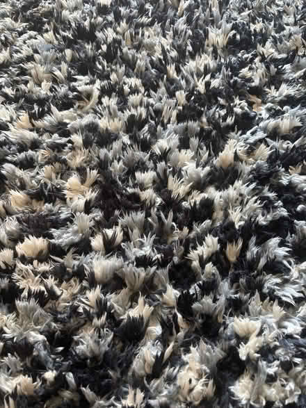 Photo of free Rug (Woodlesford LS26) #2