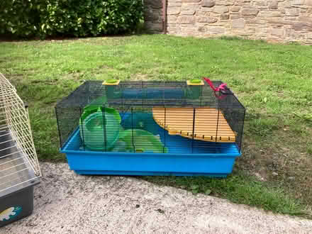 Photo of free Pet cages (Dorstone HR3) #2