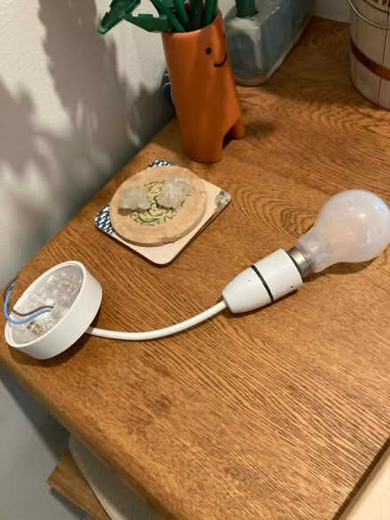 Photo of free Bulb with wire casing (Dublin) #1
