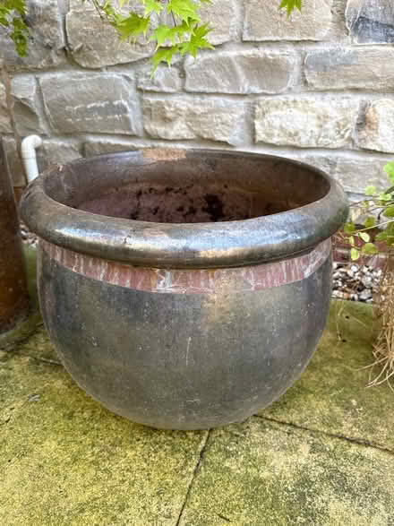 Photo of free 4 Garden pots, 2 containing shrubs (Nailsea BS48) #2