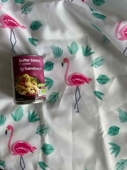 Photo of free 3 shower curtains (Garthdee AB10) #2