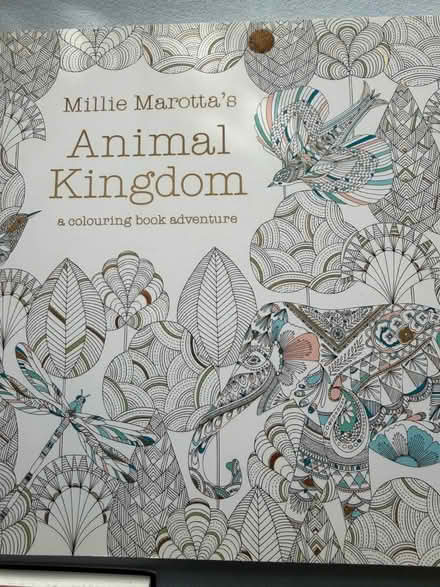 Photo of free Detailed colouring books x3 (Malvern WR14) #3
