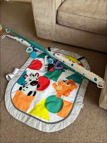 Photo of free Baby playmat (Hemel Hempstead) #1