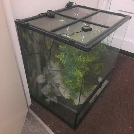 Photo of free Reptile Tank (Drayton Park N7) #1