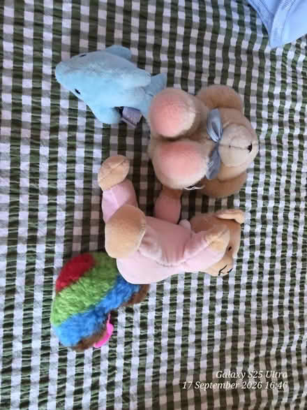 Photo of free Rucksack and Random Plush Toys (spondon DE21) #2
