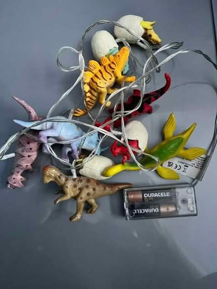 Photo of free Dinosaur fairy lights (Ballynafoy BT6) #1