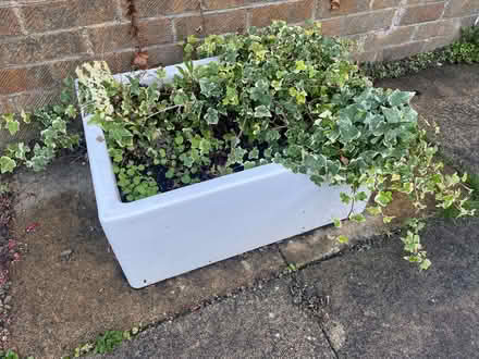 Photo of free Garden planter, Belfast sink (Scholes LS15) #2