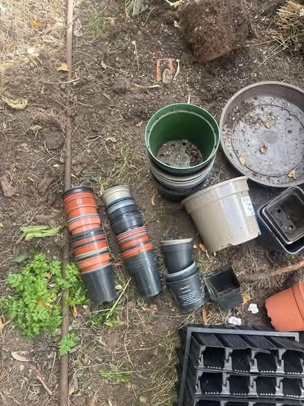 Photo of free Assorted plant pots (NE150BG) #2