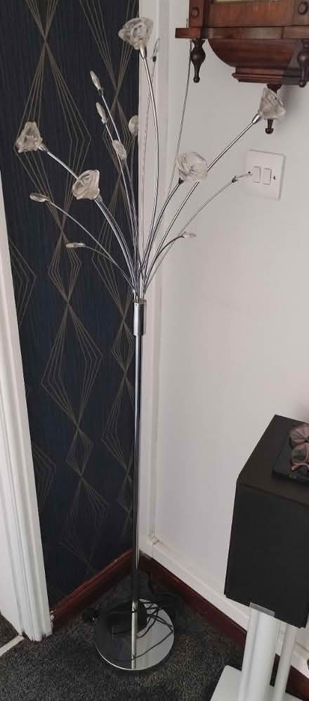 Photo of free Floor Standing Lamp (Rawtenstall BB4) #1