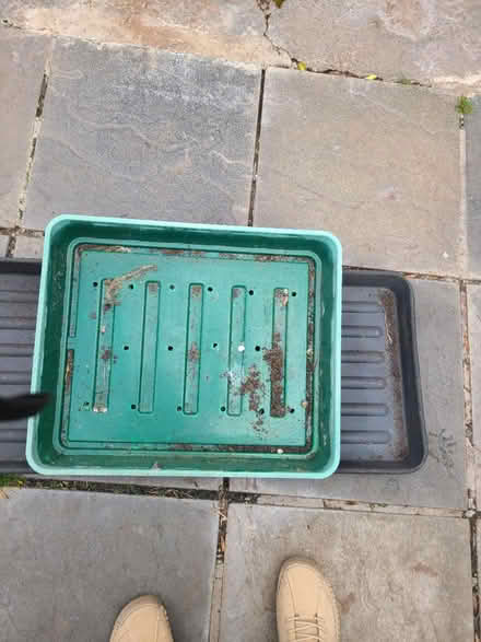 Photo of free Two big watering trays (Eltham SE9) #2