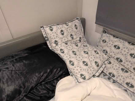 Photo of free Double bed duvet and 4 pillows (Canley CV4) #2