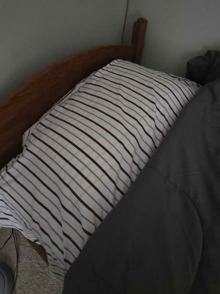 Photo of free Duvet and sheet set (full) (East Montgomery Village) #1