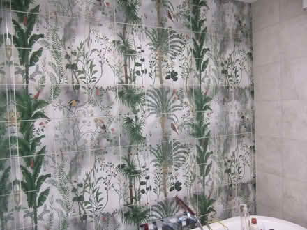 Photo of free Amazonian Rain Forest tiles (Baldock SG7) #1