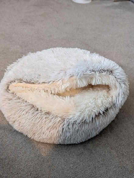 Photo of free Cat bed (Bransgore BH23) #1