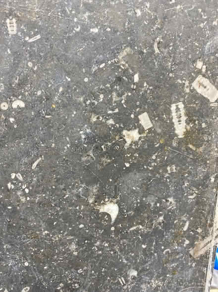 Photo of free 1 length of polished Mandale limestone (Lodge Moor S10) #1