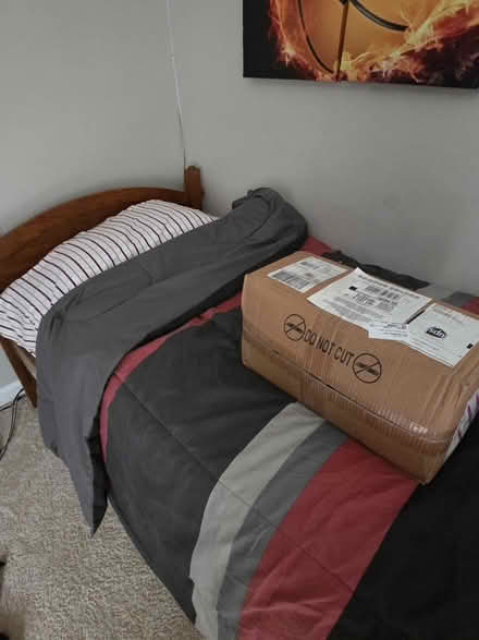 Photo of free Duvet and sheet set (full) (East Montgomery Village) #2