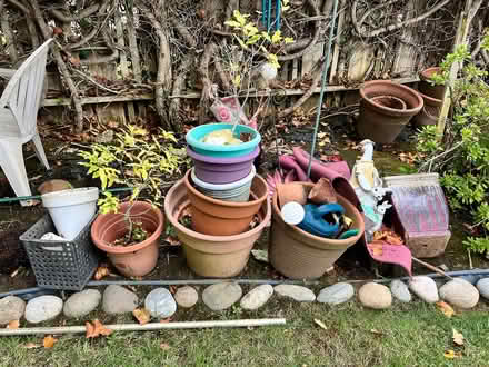 Photo of free Garden pots! Many (Novato) #4