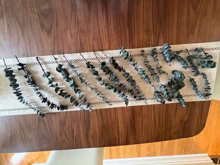 Photo of free Assorted fresh eucalyptus stems (Westboro) #1
