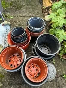 Photo of free Various used plant pots, in VGC (Allerton L18) #1