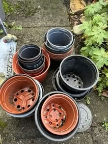 Photo of free Plastic Plant Pots various sizes (Liverpool) #1