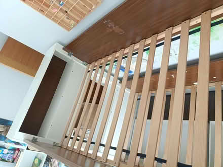 Photo of free ASPACE Coco Bunk Bed (Chipping Barnet EN5) #4