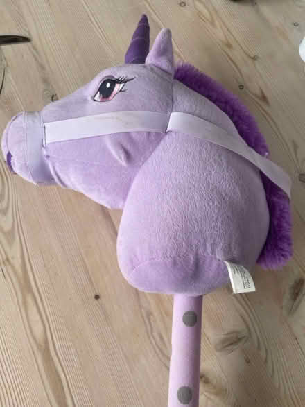 Photo of free Purple hobby horse (Horningsea CB25) #2