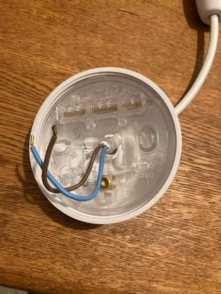 Photo of free Bulb with wire casing (Dublin) #2