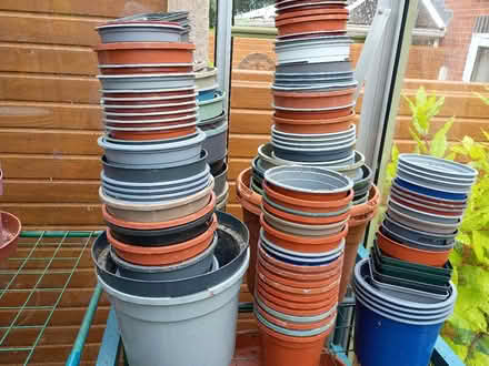 Photo of free Plastic plant pots (Cherry Tree BB2) #1